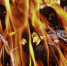 На пожаре в Лисках Воронежской области 21-летняя девушка получила ожоги рук - РИА Воронеж - Лиски
